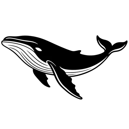 Elegant Whale Outline SVG cut file